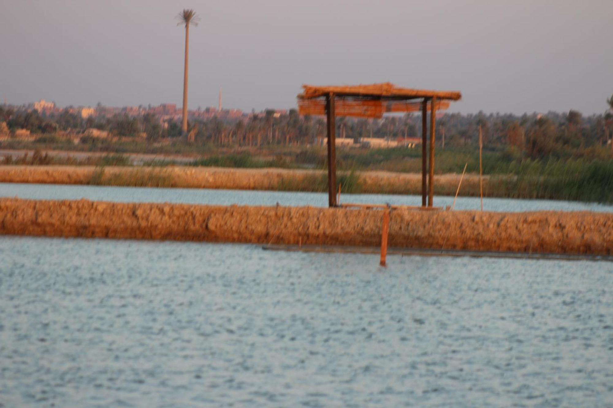 Kom El Dikka Agri Lodge ‘Izbat an Nāmūs Exterior foto